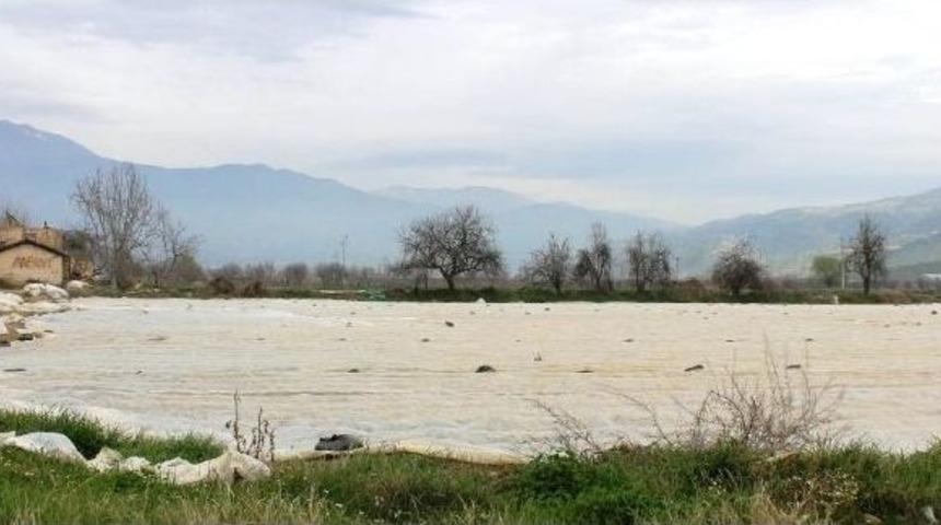 Yaz Patatesine Don Olaylarına Karşı Elyaf &Ouml;nlemi