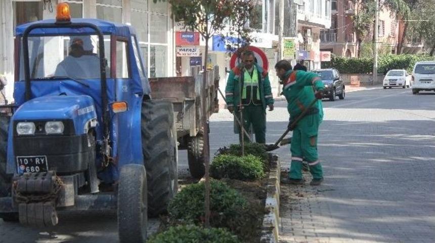 Kavşak D&uuml;zenlemesi Sebebiyle Ağa&ccedil;lar Taşınıyor