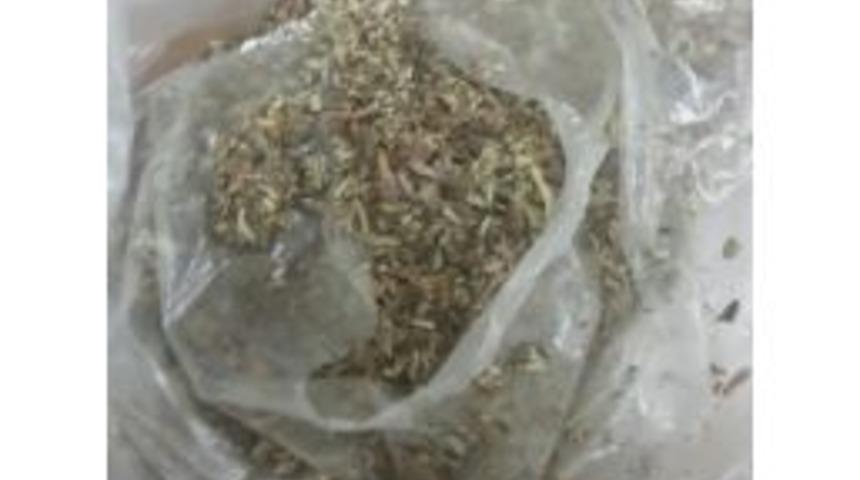 Jandarma Uyuşturucuya Savaş A&ccedil;tı