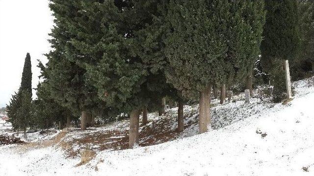 Vatandaşın 40 Yıllık Sorununu Büyükşehir Çözdü