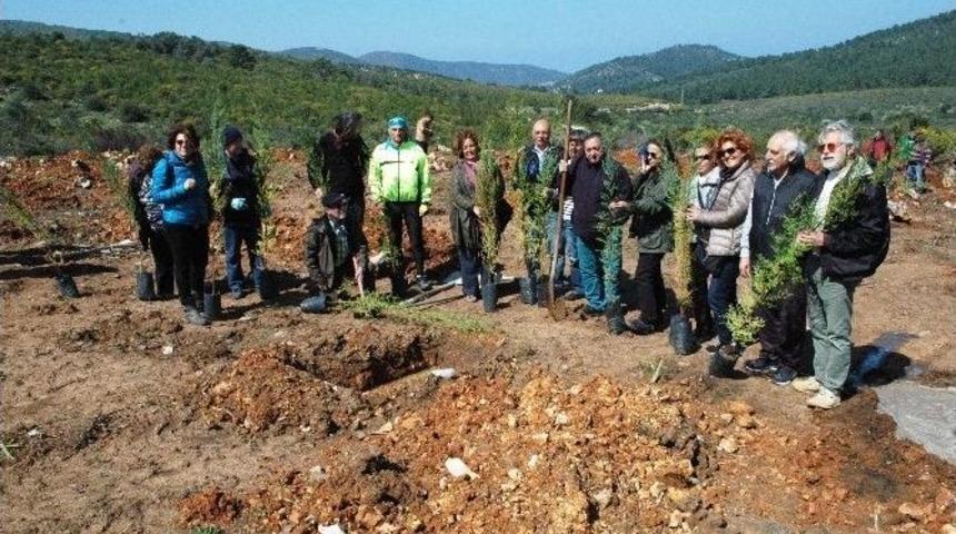Ankara&rsquo;daki Patlamada &Ouml;lenler İ&ccedil;in Fidan Diktiler