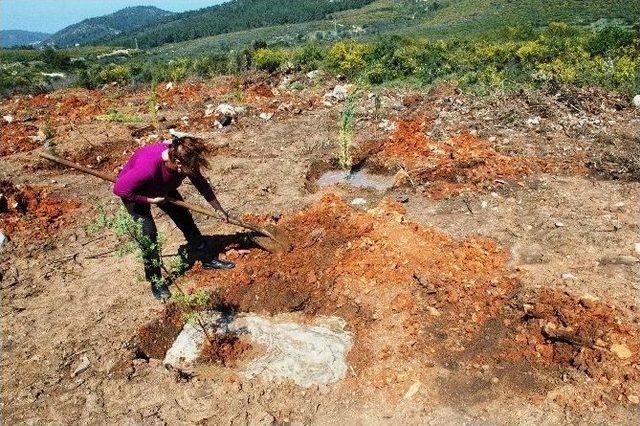 Ankara’daki Patlamada Ölenler İçin Fidan Diktiler 1