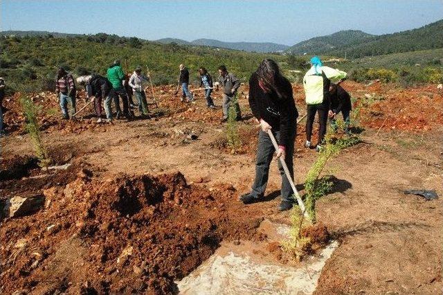Ankara’daki Patlamada Ölenler İçin Fidan Diktiler 2