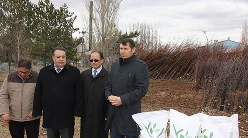 Sivas İl Özel İdaresi’nden Çiftçilere Fidan Desteği