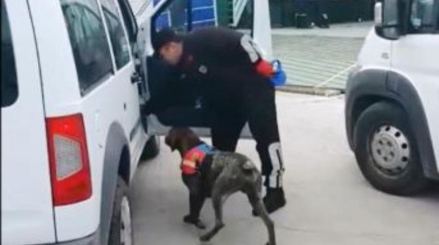 Jandarma Kuş Uçurtmuyor