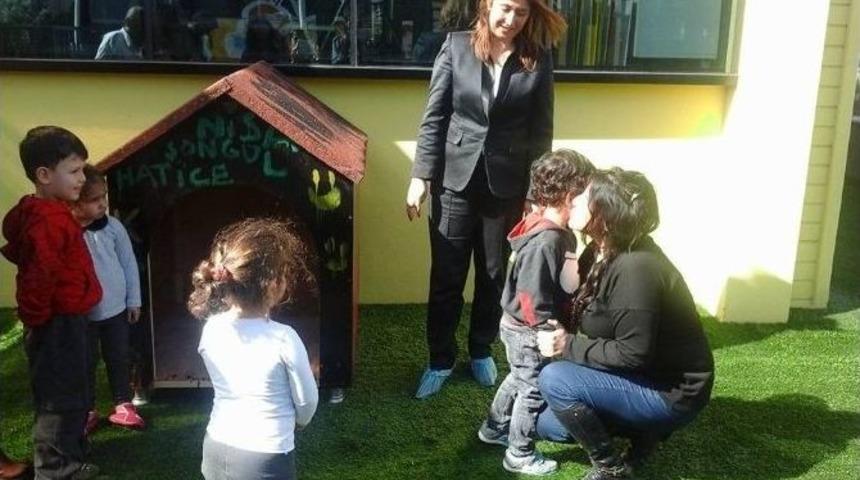 Sokak Hayvanları Evlerine Kavuşuyor