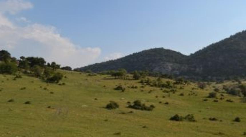 Kırkağa&ccedil;&rsquo;ta 15 Bin 500 Dekarlık Alana Tapulaştırma