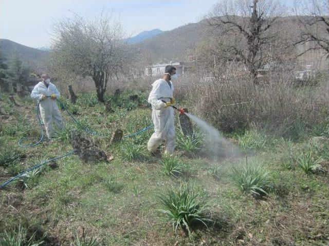 Kahramanmaraş&rsquo;ta Mezarlıklara &Ouml;zel Bakaım 1
