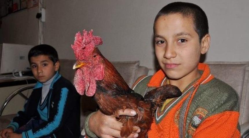 Gaziantep&rsquo;te İki Kardeşin Hayvan Sevgisi