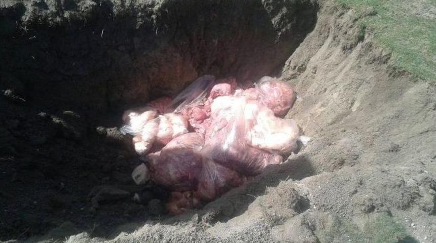 Ereğli&rsquo;de 200 Kilo Ka&ccedil;ak Tavuk Eti İmha Edildi