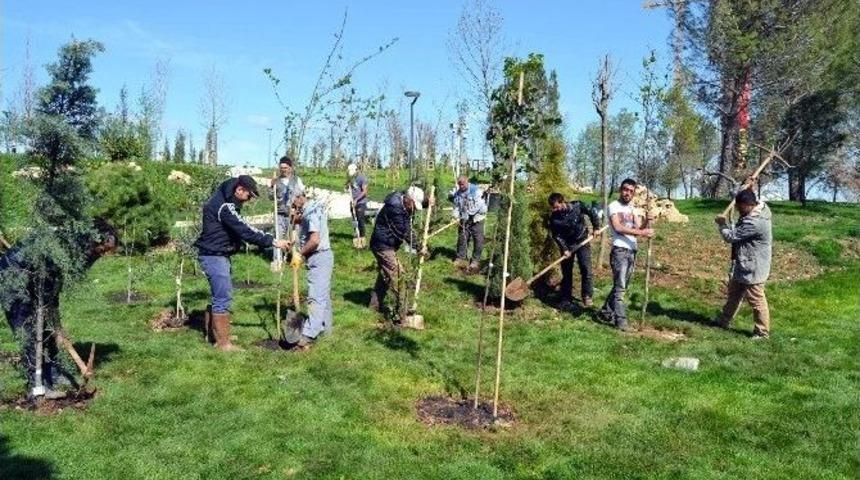 81 İlin Sembol Ağa&ccedil;ları Antalya&rsquo;da Buluştu