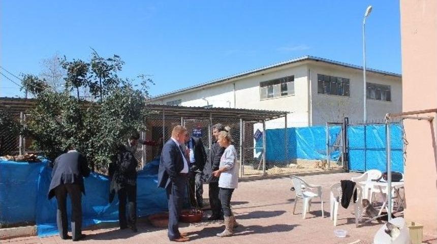 Hayvan Hakları Komisyonu Kozan&rsquo;da