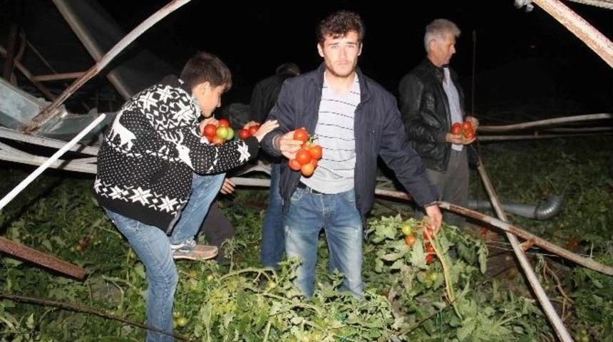 Muğla&rsquo;da Hortum Seraları Yıktı