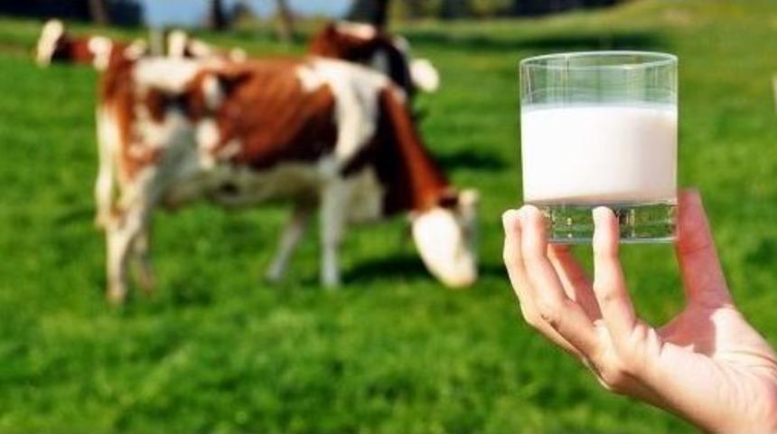 Ad&uuml;&rsquo;den D&uuml;nyada G&uuml;venilir S&uuml;t &Uuml;retimi Projesine Akademik Destek