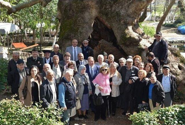 Vali Çiçek: “yaşlıya Saygı Kültürümüzde Var”