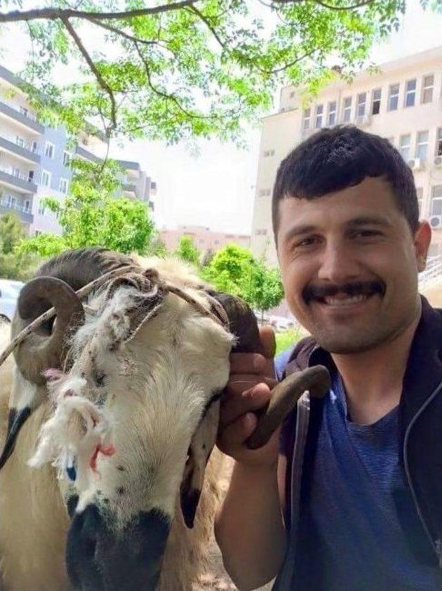 Şehit Polis Mardin’de Gönüllü Olarak Kalmak İstemiş