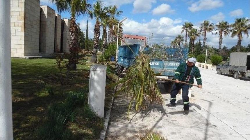 Silifke Belediyesi Kıbrıs Şehitliğini Temizledi