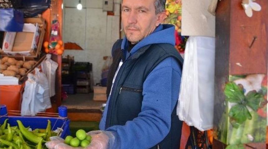 İlkbaharın Cep Yakan Meyveleri