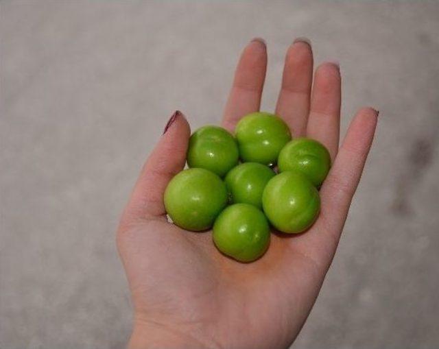 İlkbaharın Cep Yakan Meyveleri 2