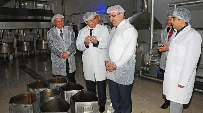 Kestane Şekerine Standart Geliyor