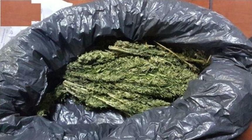 Siirt&rsquo;te Uyuşturucudan 3 Kişi Tutuklandı