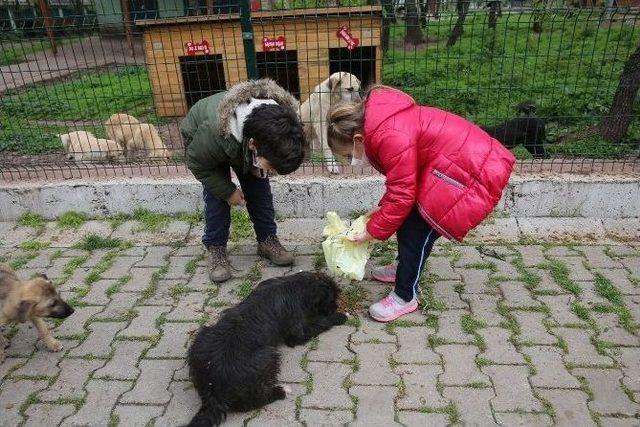 Özel Enka Okullarından Hayvan Barınağına Ziyaret