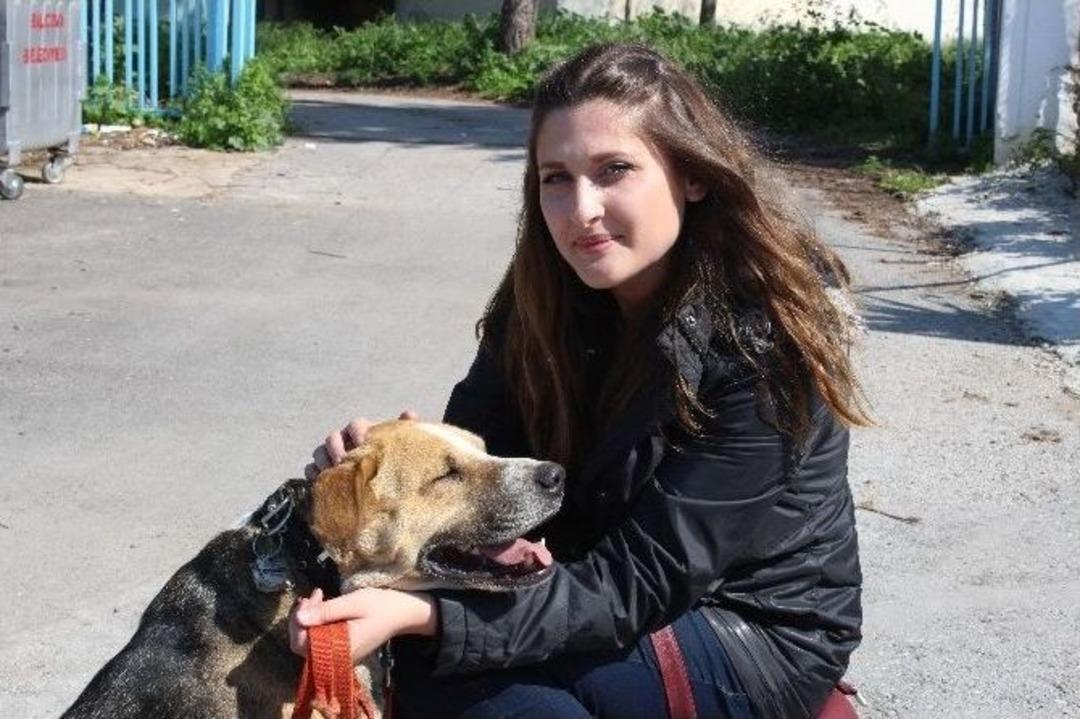 (&ouml;zel) Matematik Dersi Veriyor, Para Yerine Mama Alıyor