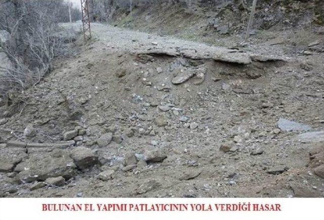 Tunceli’de 650 Kilo Patlayıcı Bulundu