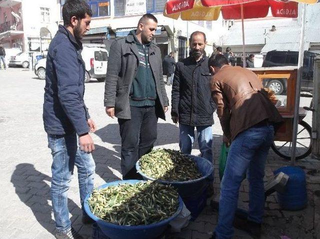 Gülbahar Bitkisi Tezgahlarda Yerini Aldı