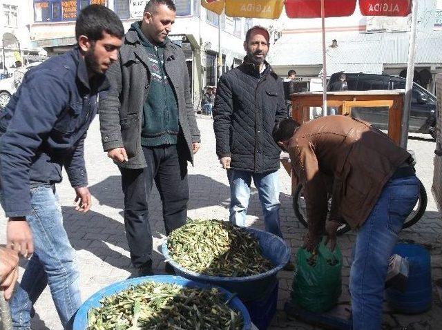 Gülbahar Bitkisi Tezgahlarda Yerini Aldı