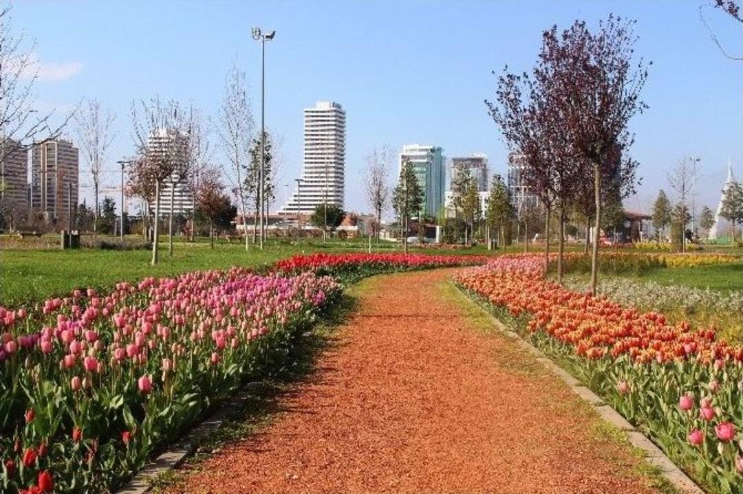 Bursa&rsquo;da Lale Devri