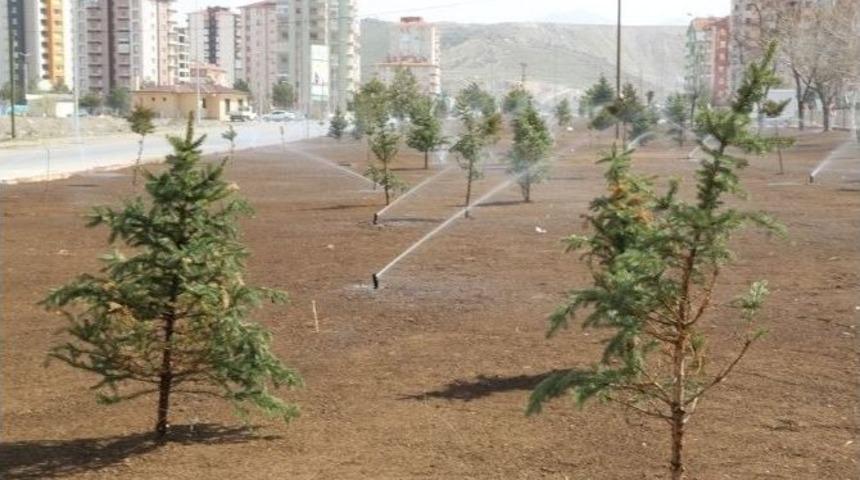 Melikgazi Belediyesi Doğaya 25 Bin Fidan Armağan Edecek