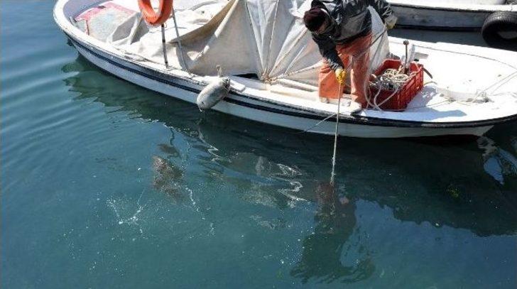 Denizden Türk Bayrağı Çıktı G1