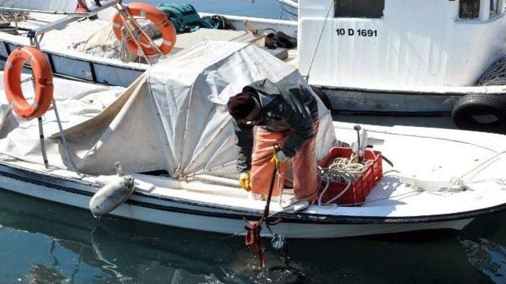 Denizden Türk Bayrağı Çıktı G2