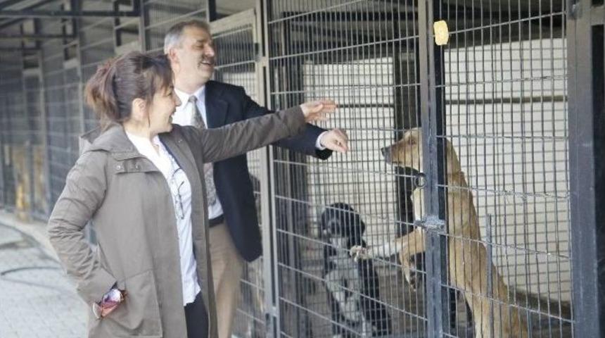 Odunpazarı&rsquo;nın Kırsal &Ccedil;alışmaları T&uuml;rkiye&rsquo;ye &Ouml;rnek Oluyor