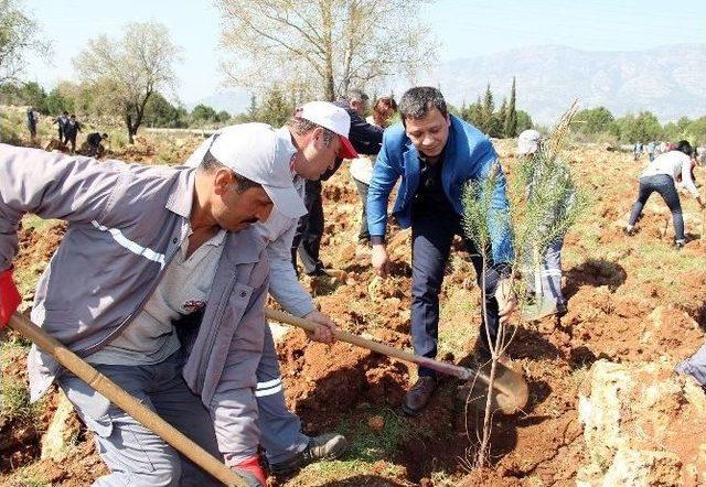 Çanakkale’nin Yıldönümünde 260 Fidan Toprakla Buluştu