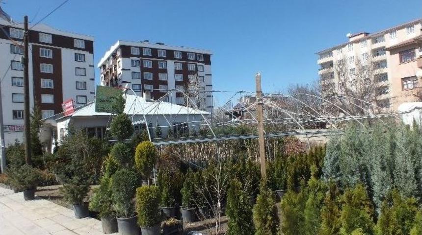 Van&rsquo;da Fidan Satışları Başladı