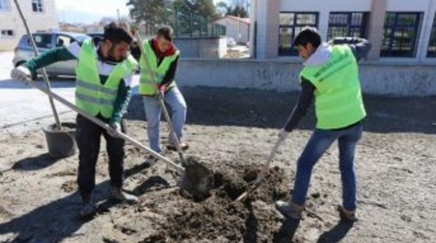 Binlerce Fidan Toprakla Buluşacak