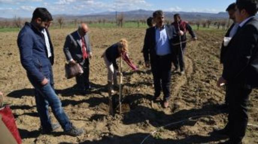 Organik Tarım Eğitimi Sona Erdi