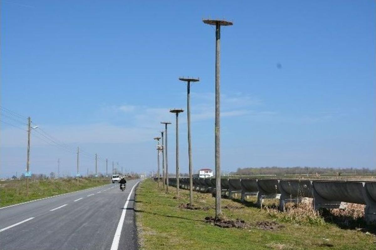 Leylekler İ&ccedil;in Yeni Yuvalar