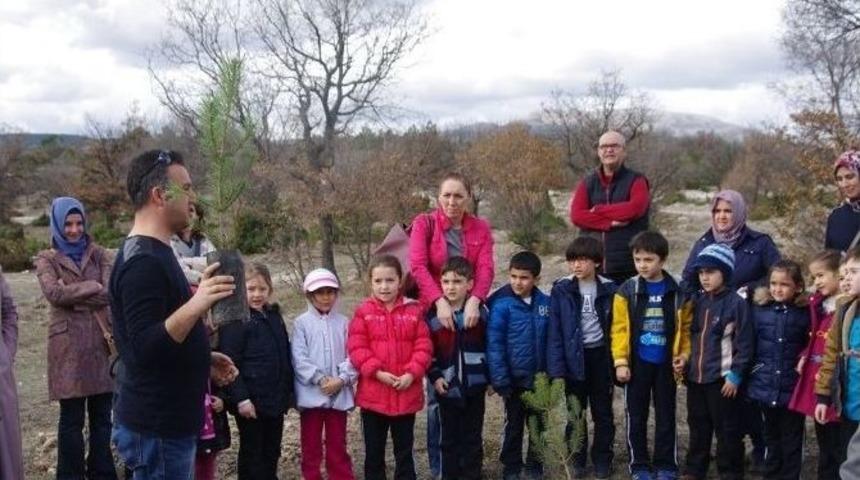 Minik Eller Fidan Dikti