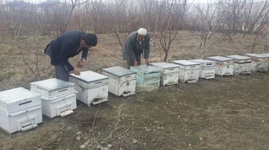 Van&rsquo;da Arılar Kış Uykusundan Uyandı