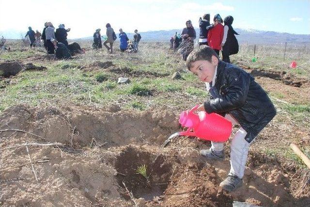 Şehitler Anısına Fidan Dikildi 1