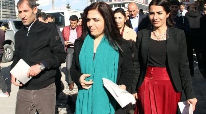 Van&rsquo;da Nevruz İ&ccedil;in Bildiri Dağıtıldı