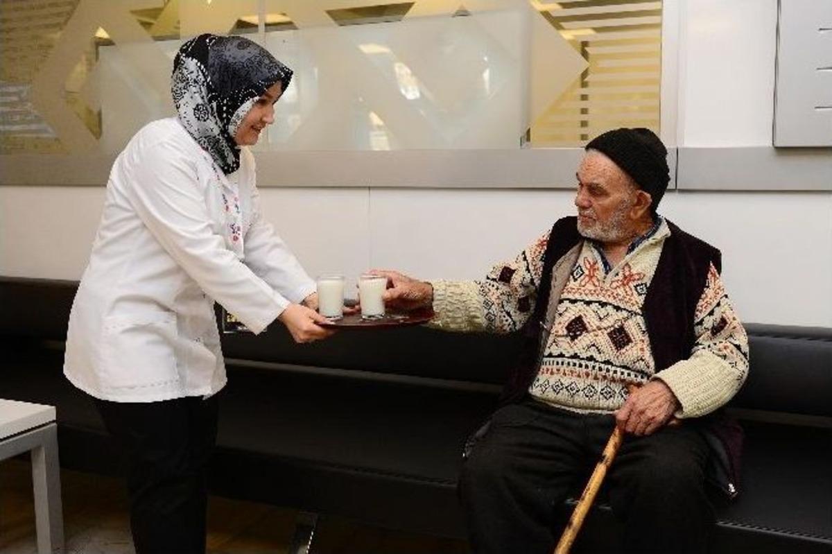 Binlerce Karesili S&uuml;t İ&ccedil;ti