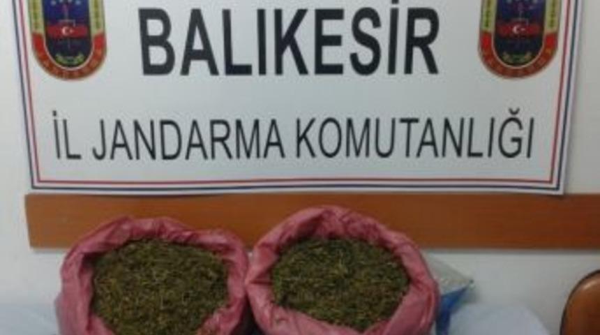 Jandarmadan Uyuşturucu Operasyonu