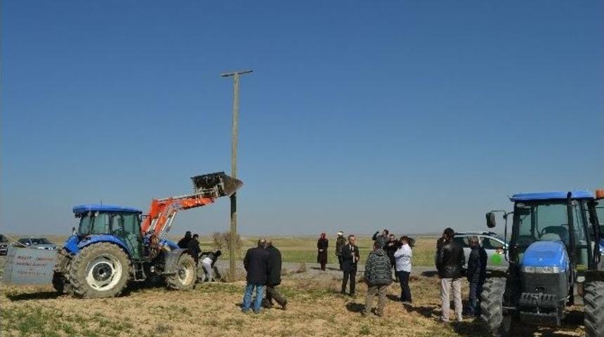 Kulu&rsquo;da Yırtıcı Kuşlar İ&ccedil;in Yuva Ve T&uuml;neme Direkleri