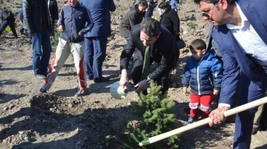 Tokat&rsquo;ta Şehitler Hatıra Ormanı