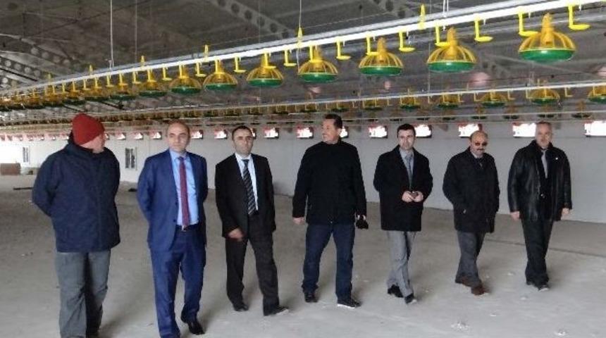 D&uuml;zce&rsquo;de Hibe Yatırımları Meyvelerini Veriyor