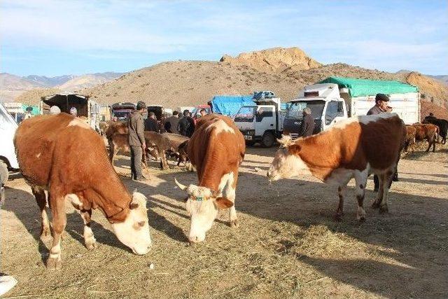 Besiciler Yem Fiyatlarından Yana Dertli